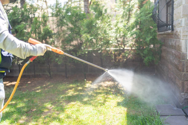  Talluh, LA Pest Control Pros